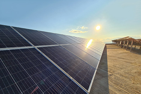 La capacidad fotovoltaica instalada en Alemania ha alcanzado un máximo histórico.